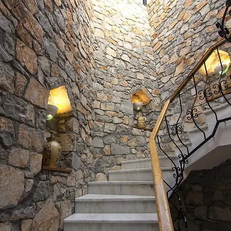 Ankakusu * Göcek