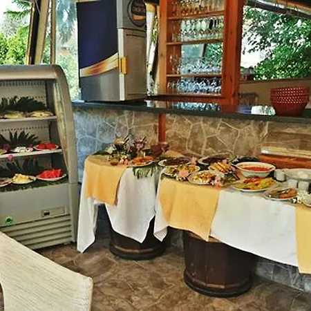 Vila Ankakusu *